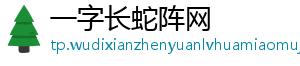 一字长蛇阵网